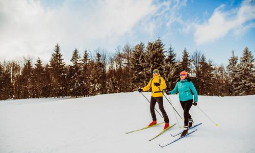 Náchod v prírode len 3 km od zámku s Piccolominskou záhradou v Penzióne Amerika s polpenziou + vonkajší bazén