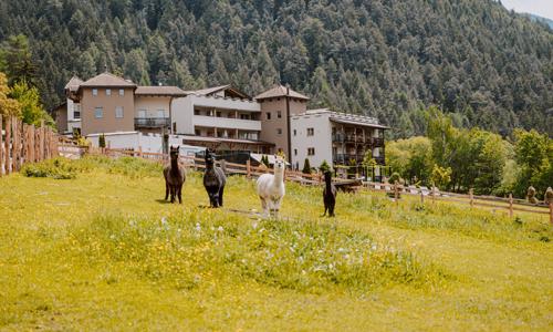 Pobyt pre celú rodinu v Južnom Tirolsku: 4* Hotel Bergschlössl so raňajkami/polpenziou a wellness + miniklub 