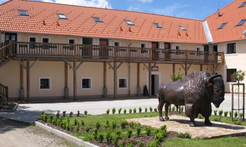 Prírodný park Česká Kanada: Nevšedný pobyt na Bison Ranch Rožnov s raňajkami/polpenziou + víno a občerstvenie