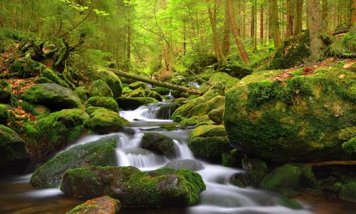 Šumava neďaleko Boubínskeho pralesa a prírodných parkov v Penzióne Pod pralesem s polpenziou + detský kútik