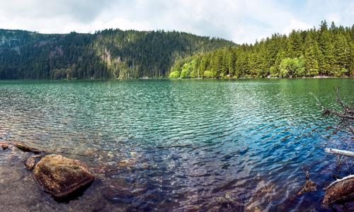 Šumava pri Čiernom a Čertovom jazere v Apartmáne Belvederská až pre 4 osoby + fľaša vína a káva neobmedzene