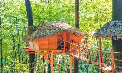 Trenčianske Teplice: Jedinečný pobyt uprostred prírody v domčeku na strome Treehouse až pre 4 osoby + raňajky