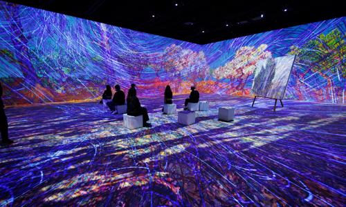 Vincent - Medzi šialenstvom a zázrakom: Vstupenky na výstavu Van Gogh Immersive v Mníchove + top ubytovanie