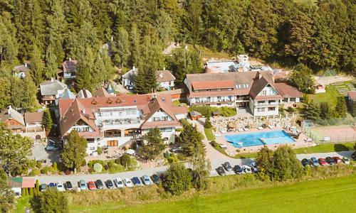Vysočina: Hotel Podlesí *** pri Rozprávkovej dedinke s polpenziou a bazénom + poukaz na wellness či aktivitu